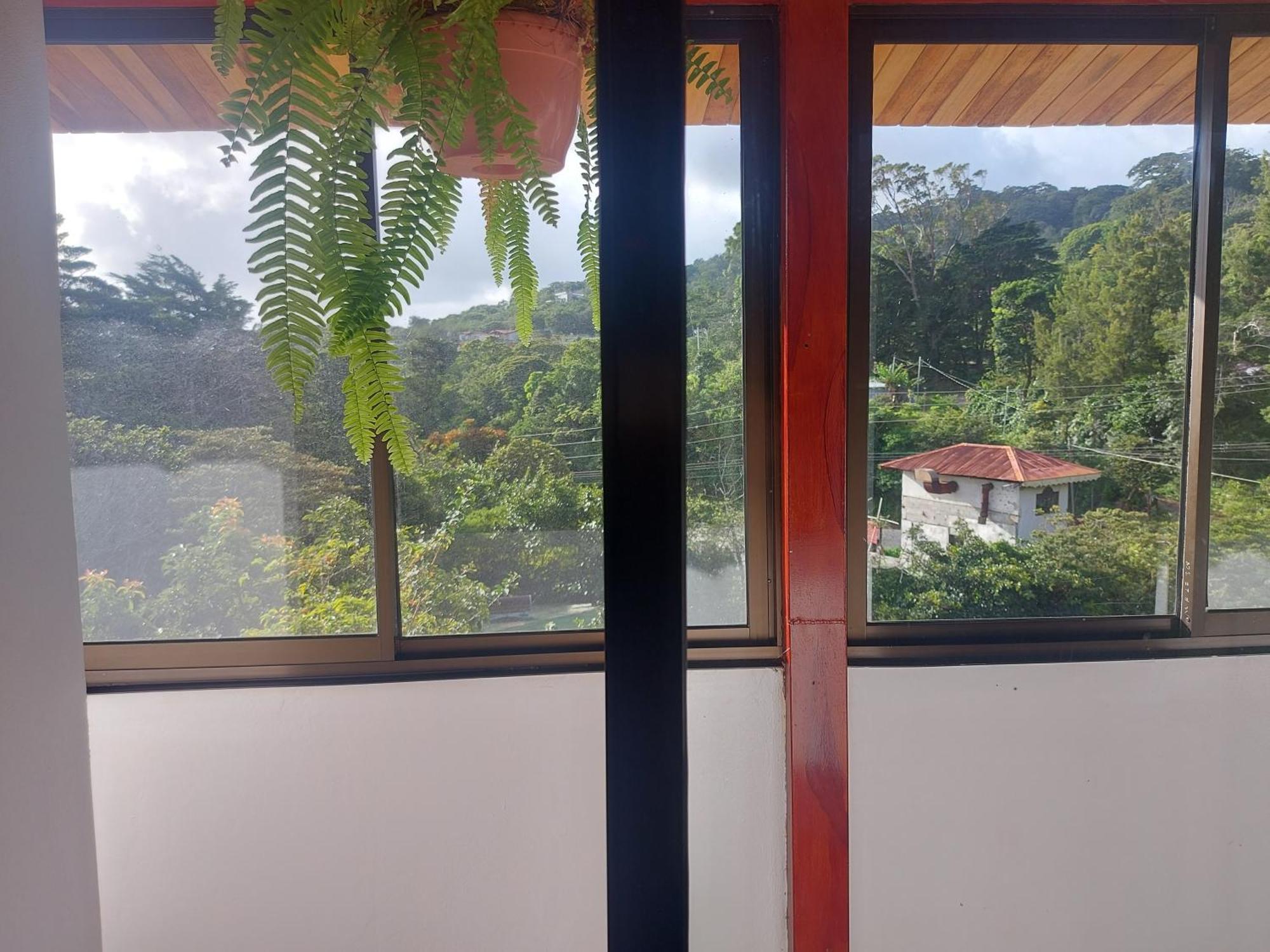 Alisson Hotel Y Restaurant Monteverde Екстер'єр фото